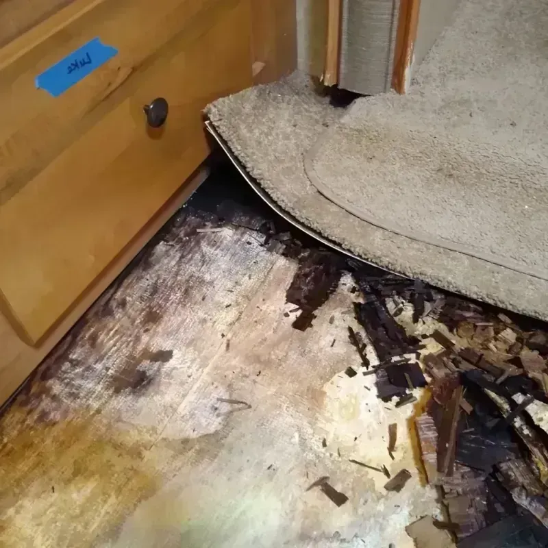 Best Wood Floor Water Damage Service in Carmel, IN